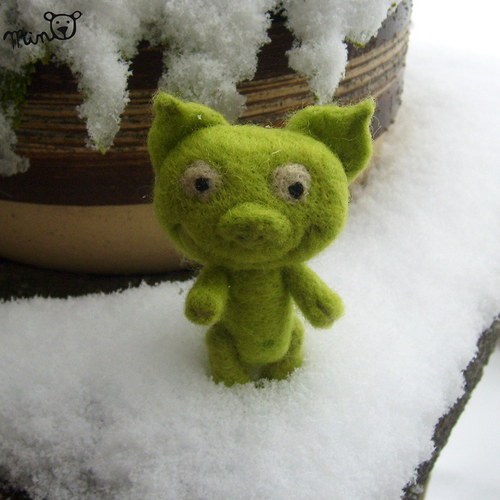 Chrochtík — foto 3