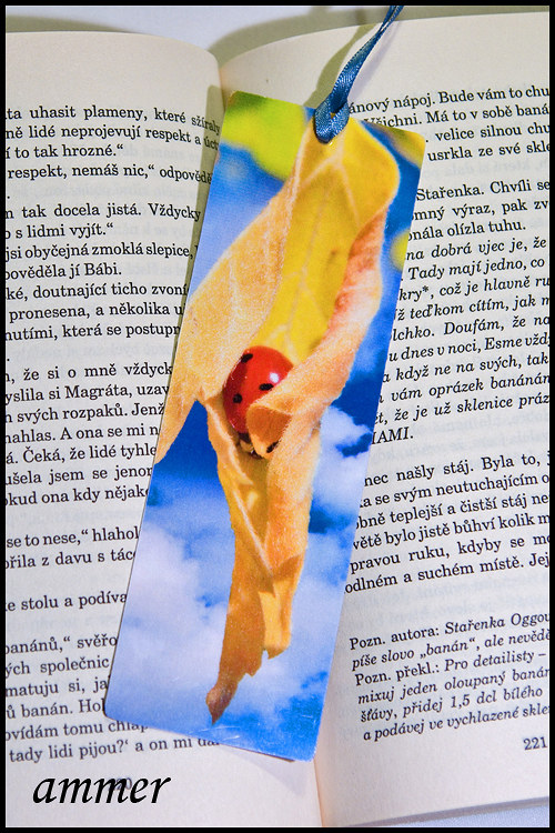 Záložka Úkryt — foto 4