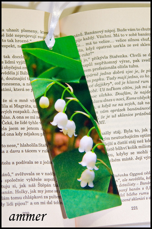 Záložka Zvonečky — foto 3
