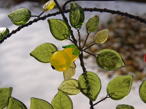 Hruška... — foto 4