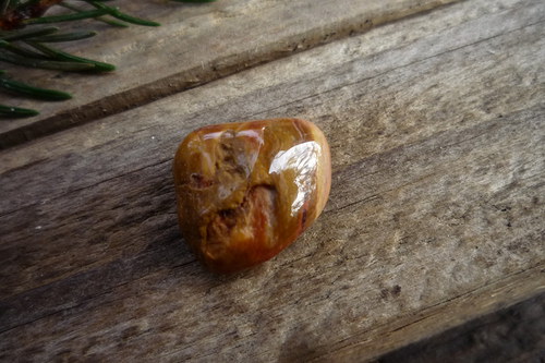 Dřevo zkřemenělé č.7578 — foto 2