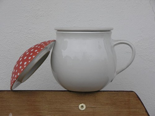 Byliňáček MOCHOMŮRKA — foto 3