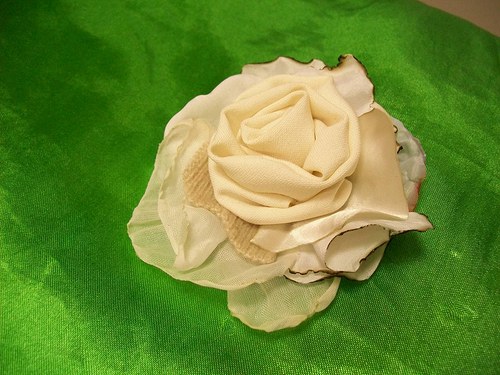 Rosa Franceska — foto 3