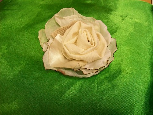 Rosa Franceska — foto 4