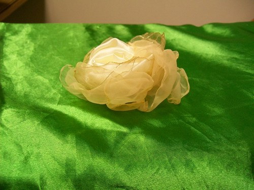 Rosa Eccellenta — foto 3