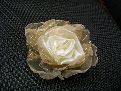 Rosa Eccellenta — foto 4