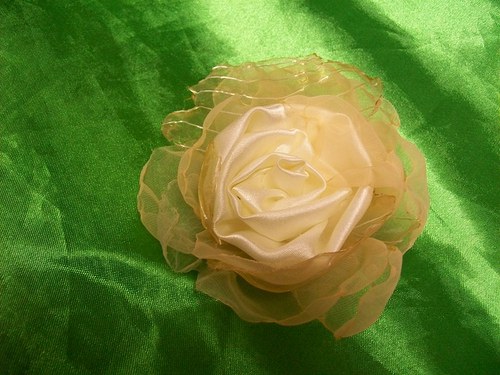 Rosa Eccellenta — foto 5