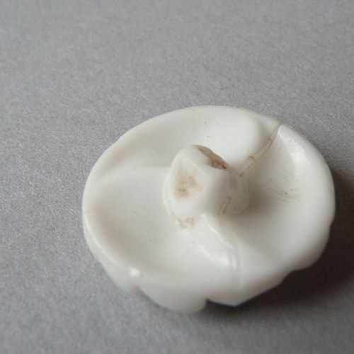 Pusinkový knoflík — foto 2