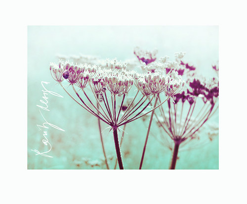 Summery..X. — foto 2
