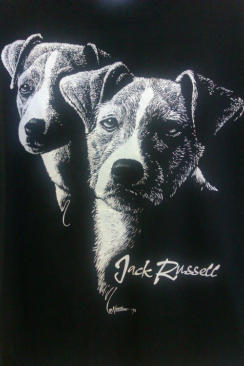Jack Russell — foto 2