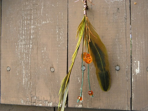 Khaki pírka — foto 2