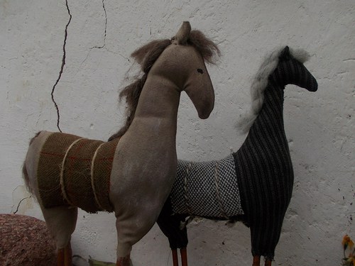 Koník šedivák — foto 2