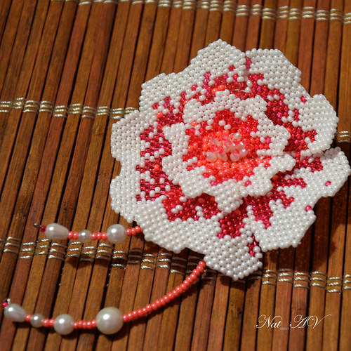 Sakura — foto 3