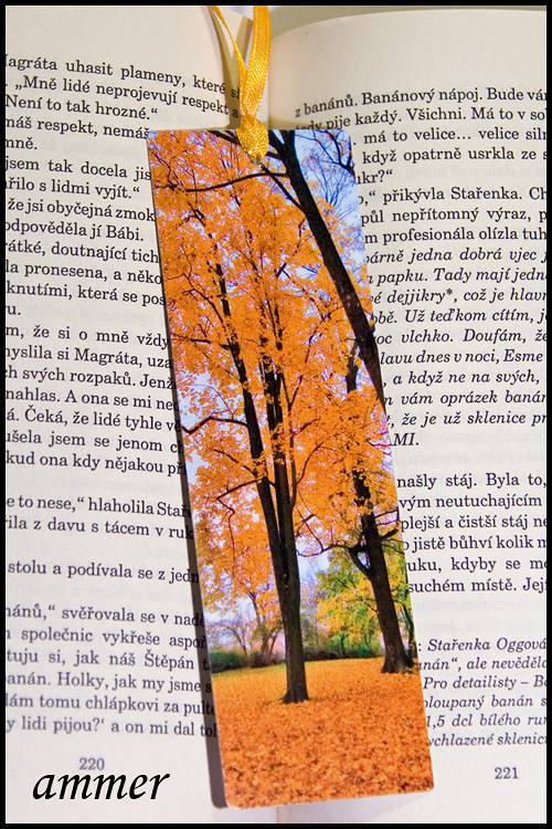 Záložka Podzimní — foto 3