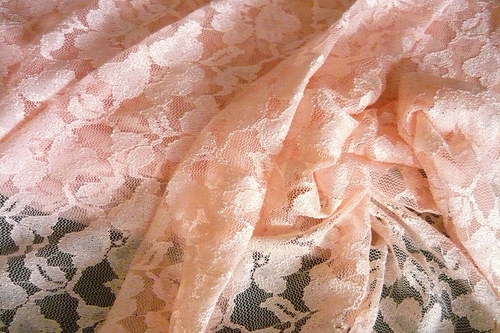 Krajka meruňková — foto 2