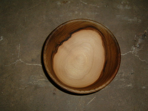 Dvoubarevná ořechová — foto 3