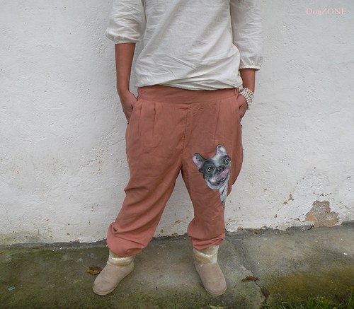 Frenchie buldíkem .. kaťata — foto 2
