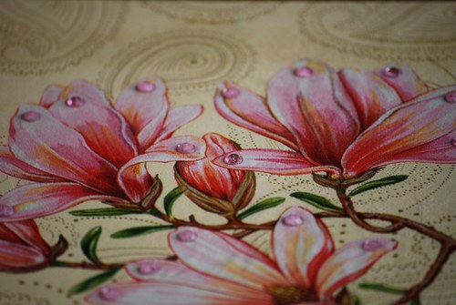 Šperkovnice magnolie — foto 6