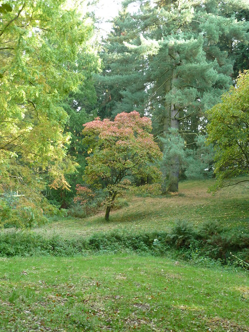 Náušnice Hravý podzim_REZERVACE — foto 5