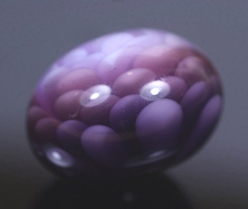 Slaměnka Lila - Purple — foto 2