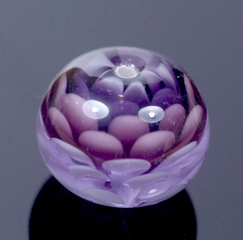 Slaměnka Purple - Lila — foto 4