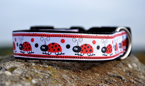 Obojek s beruškami, 2,5 cm šíře — foto 2