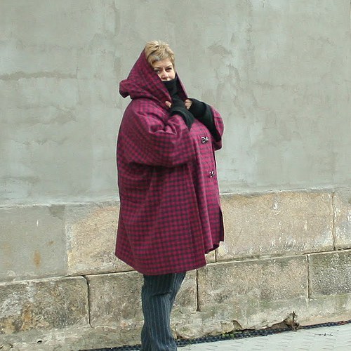 Zachumlací kostkatá — foto 4