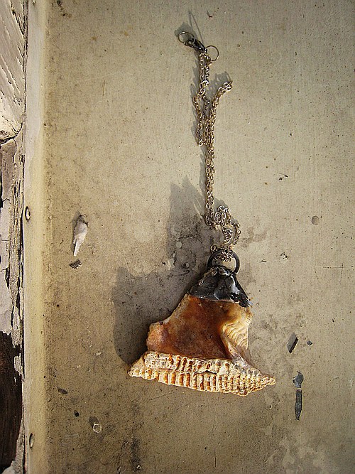 Zkamenělý — foto 2