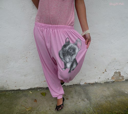 Frenchie na pohodu.....tepláčky — foto 3
