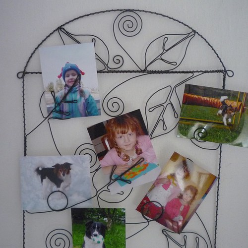 V listí — foto 2