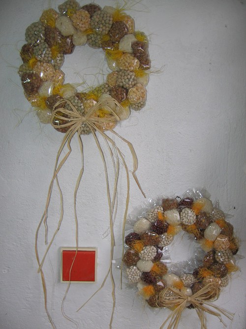 Semínkové dvojčátka — foto 3
