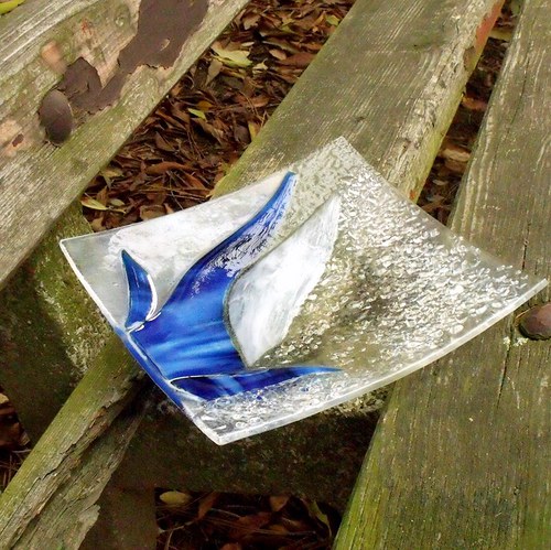 Modrokvítek — foto 3
