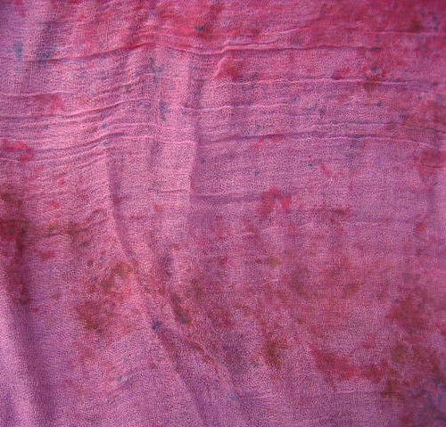 Fialová — foto 2