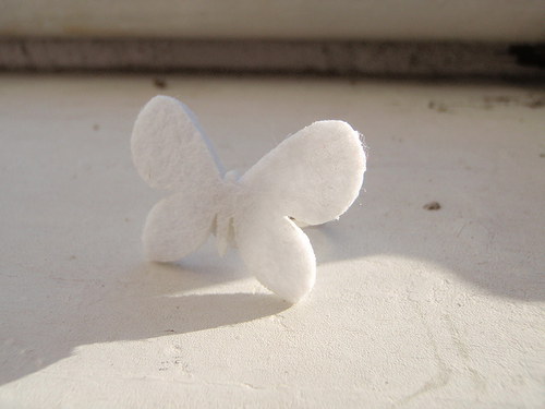 Roztáhni křídla... — foto 2