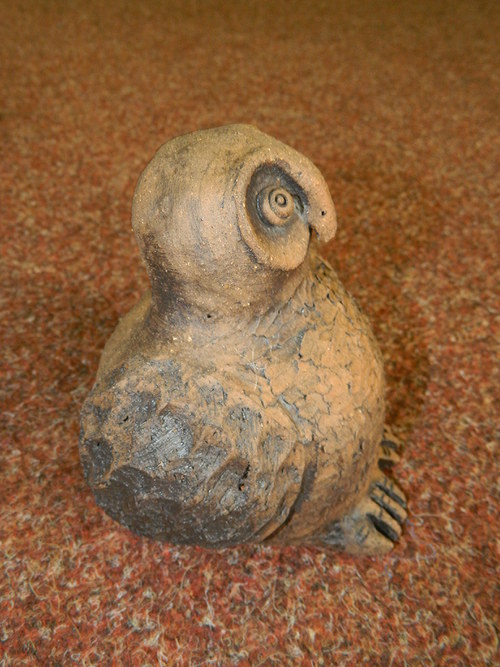 Moudrá sova — foto 2