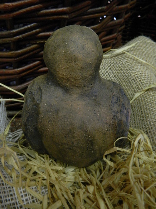 Moudrá sova — foto 5