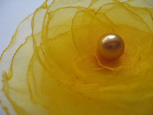 Žloutkově žlutá... — foto 2