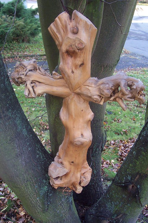 Kořeny rovnováhy — foto 2