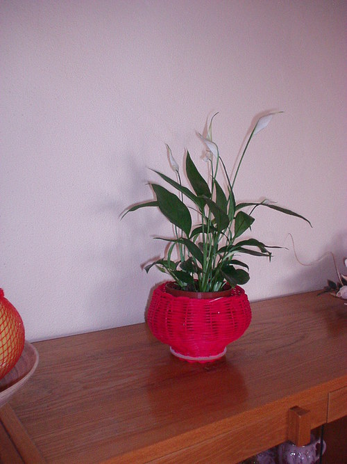 Košík "KOULE" — foto 2