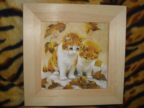 Kočičí — foto 3