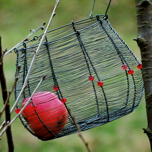Červené bobule. Drátovaný košík — foto 3