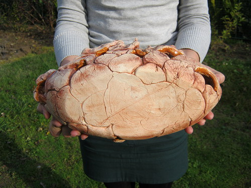Oválná mísa — foto 5