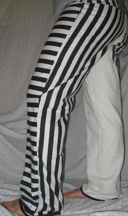 Zebra ve vězení — foto 2