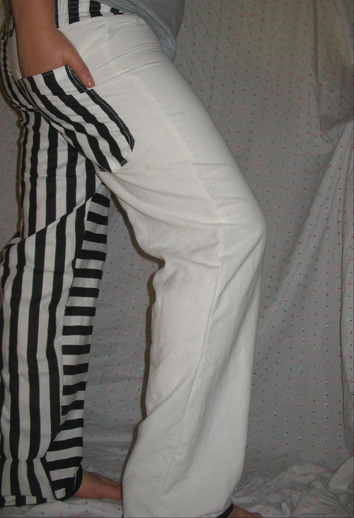 Zebra ve vězení — foto 3