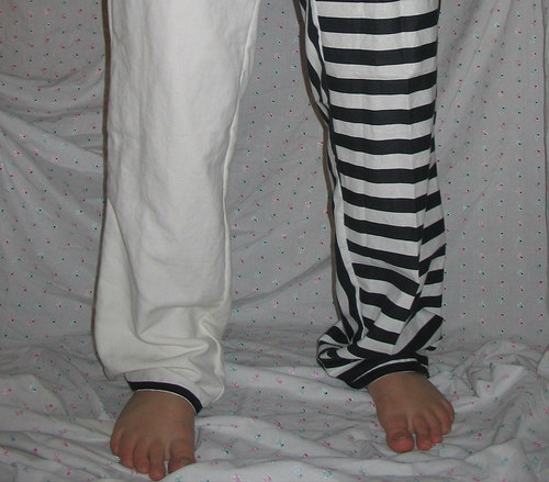 Zebra ve vězení — foto 4