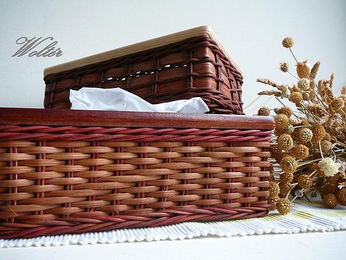 Kapesníkovník - hnědý pásek — foto 5