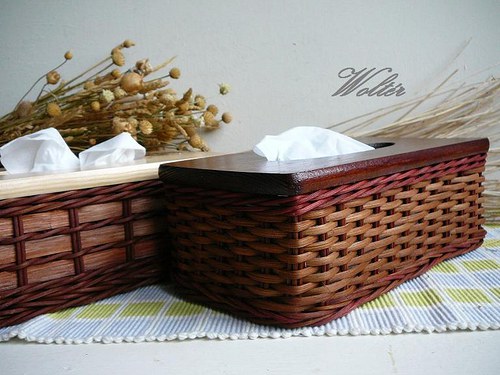 Kapesníkovník - hnědý pásek — foto 6