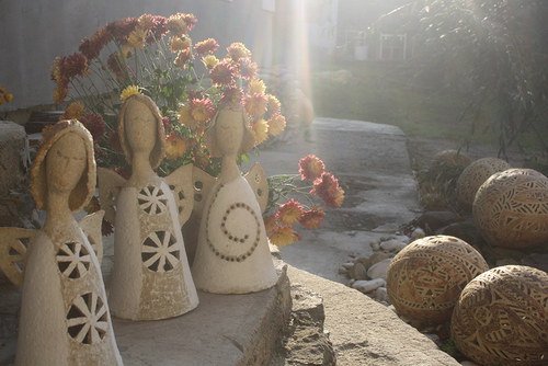 Cácorinky andělské — foto 3
