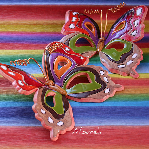 Motýl Karneval — foto 2