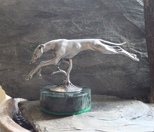 Greyhound — foto 3